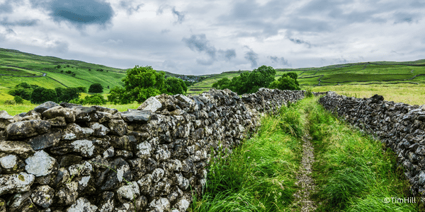PGQM journey - photo of Yorkshire countryside