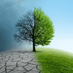 Image of climate change by By-Studio sourced by Canva. Photo is of a tree half barren and half green.