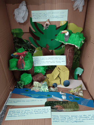 3rd place KS2 model competition winner 2026– Alex Vaughan