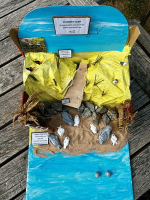 Alice Tattersall-KS2 model competition 2nd place photo