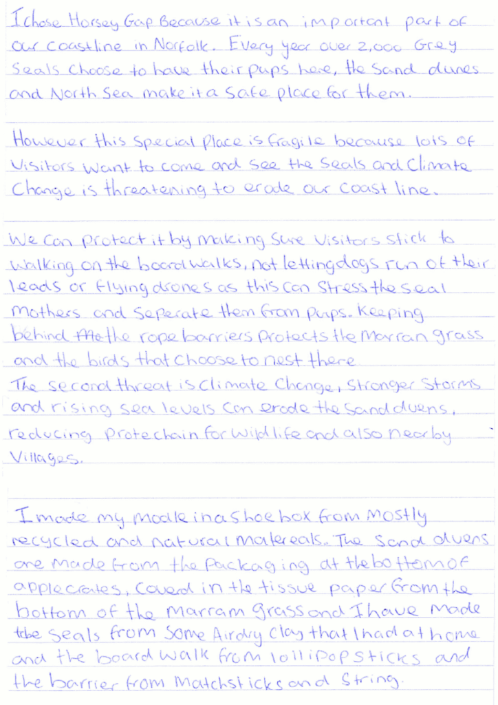 Alice Tattersall's model description for her KS2 2nd place model, her description is written on paper.