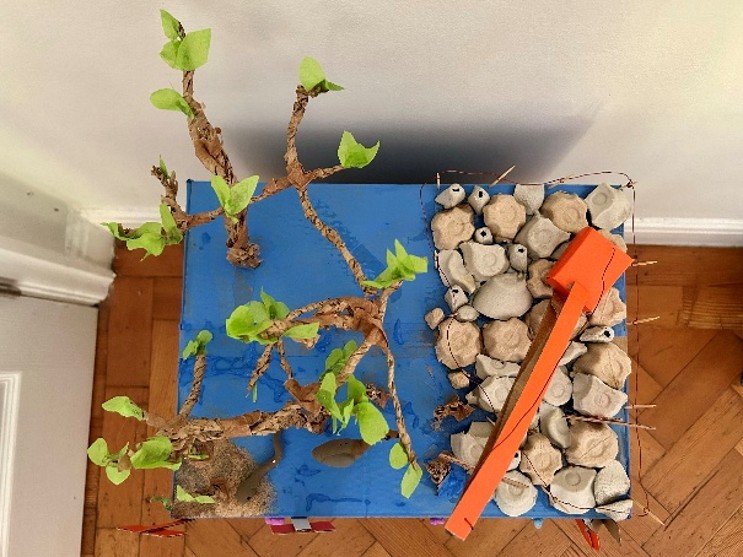 Photo of Isabelle Naylor's 1st place model (KS2)