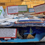 Model Making Competition Winners 2026 - photo of Zinnia Mallarachi's model of polar regions