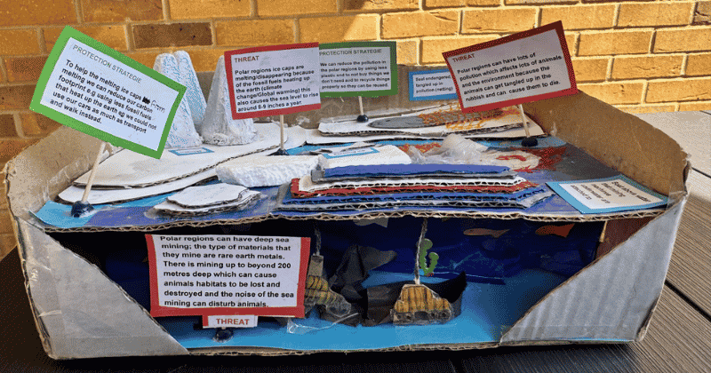 Model Making Competition Winners 2026 - photo of Zinnia Mallarachi's model of polar regions